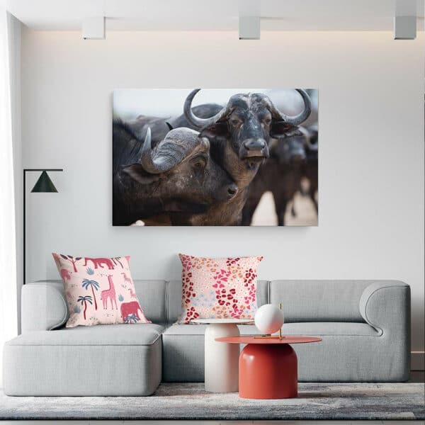 Afrikaanse-buffels-canvas-binnen-sfeer.jpg