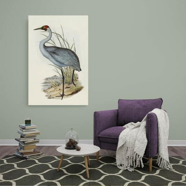 Australian-Crane-Elizabeth-Gould-canvas-sfeer.jpg