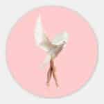 Ballerina-duif-muurcirkel.jpg
