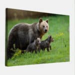Beer-met-babies-2-canvas-binnen.jpg