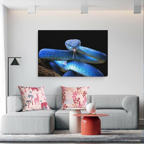 Blauwe-Adder-canvas-sfeer.jpg