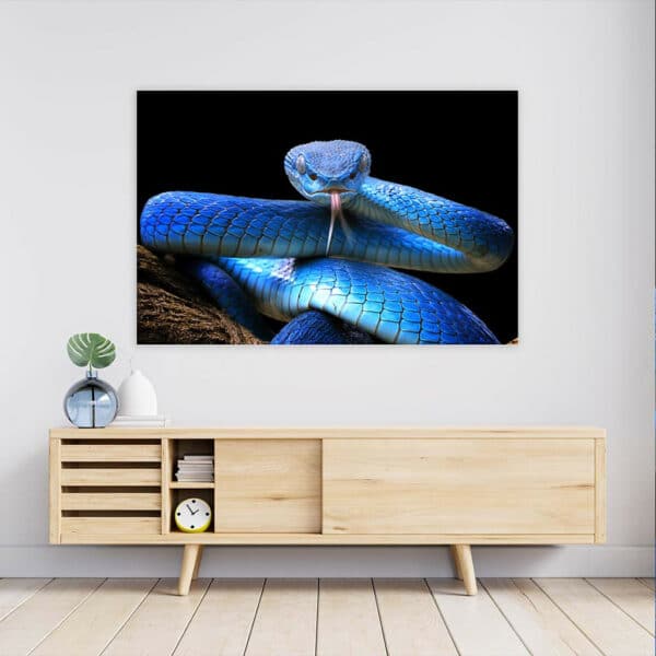 Blauwe-Adder-wandpaneel-sfeer.jpg