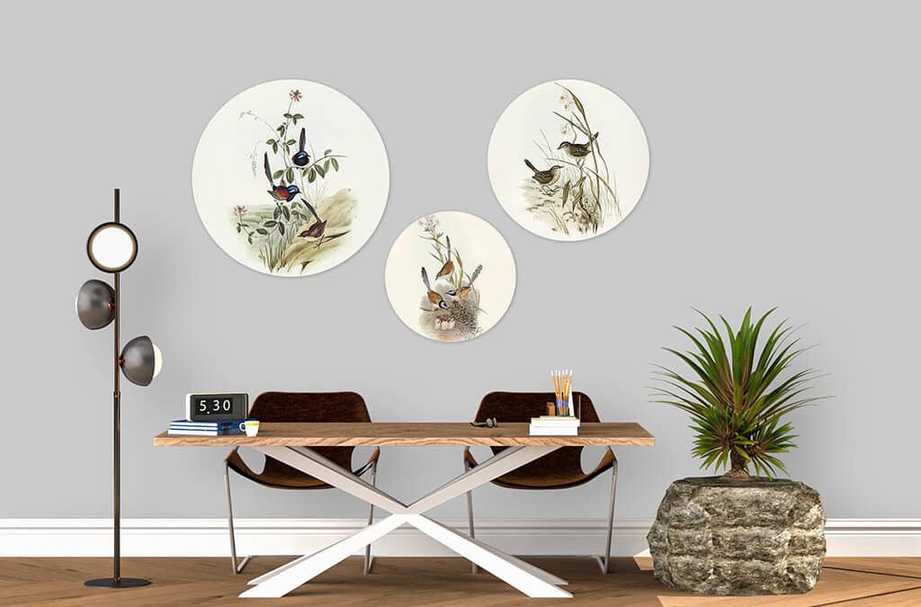 Decoratie met vogel illustraties van Elizabeth Gould