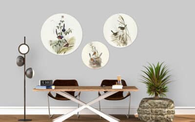 Decoratie met vogel illustraties van Elizabeth Gould