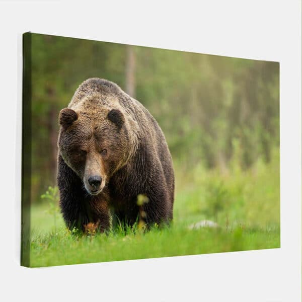 Bruinebeer-canvas-binnen.jpg