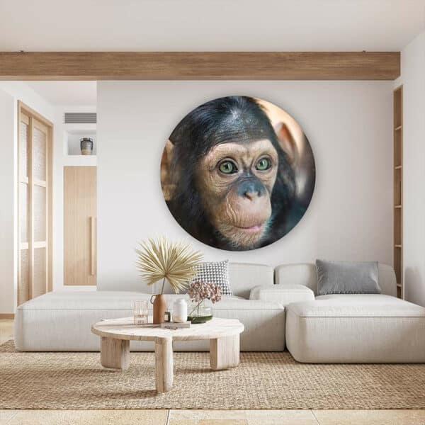 Chimpansee-maatwerk-muurcirkel-sfeer.jpg