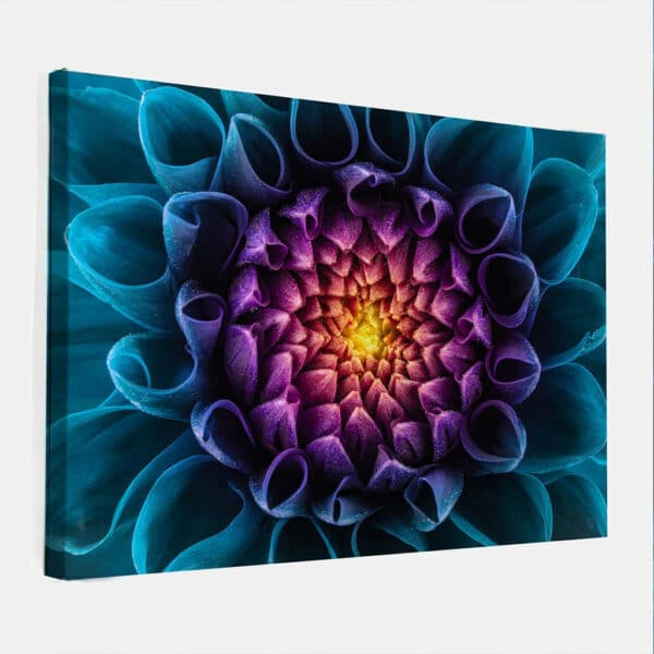 Chrysant-canvas.jpg