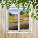 Doorkijk-raam-bloemen-pad-V-tuinposter-sfeer.jpg