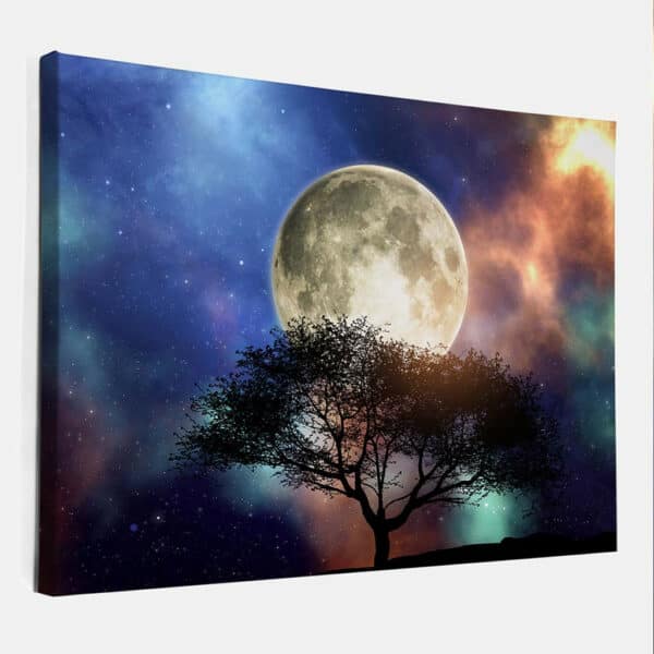 Eenzame-boom-bij-maanlicht-canvas-binnen.jpg