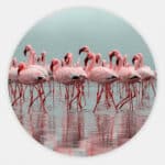 Flamingos-muurcirkel.jpg