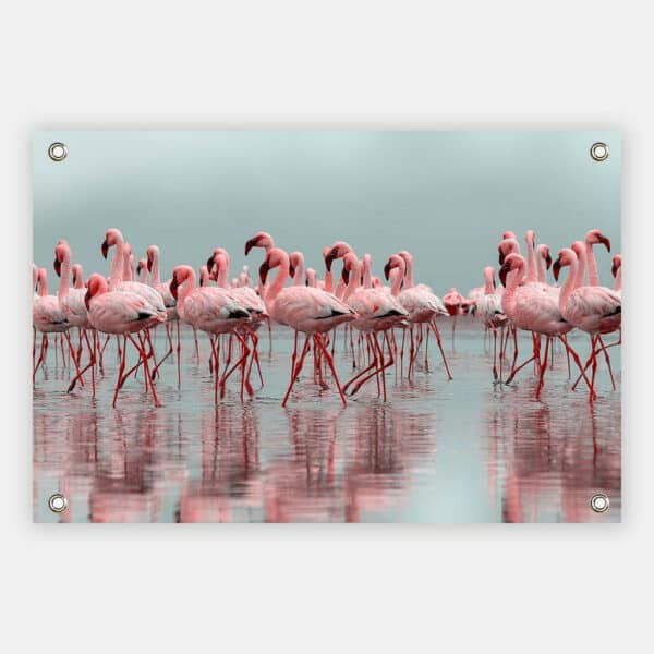 Flamingos-tuinposter.jpg