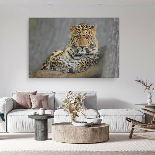 Gevlekte-panter-canvas-binnen-sfeer.jpg