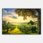 Heuvels-rond-Pisa-Toscane-2-artframe.jpg