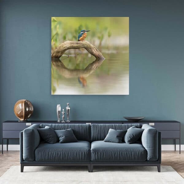 IJsvogel-vierkant-canvas-binnen-sfeer.jpg