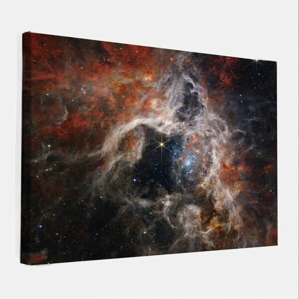 James-Webb-Tarantula-Nebula-canvas-binnen.jpg