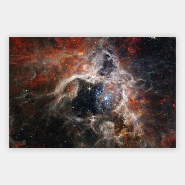 James-Webb-Tarantula-Nebula-wandpaneel.jpg