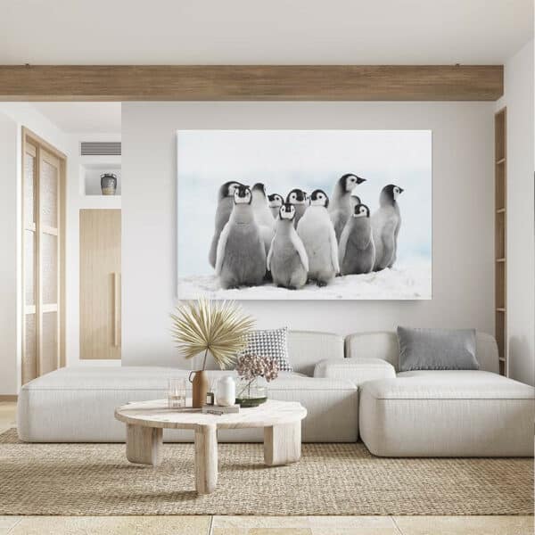 Keizer-Pinguins-canvas-binnen-sfeer.jpg