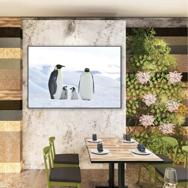 Keizer-Pinguins-met-baby-akoestisch-paneel-sfeer.jpg