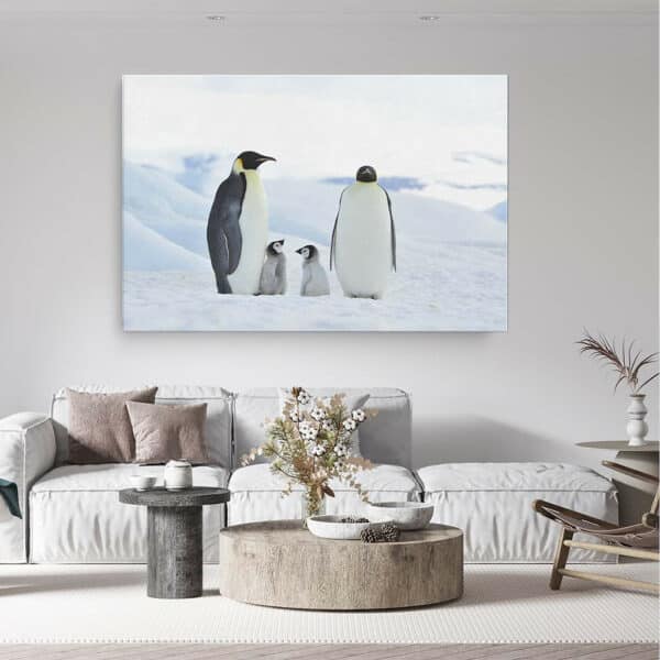 Keizer-Pinguins-met-baby-canvas-binnen-sfeer.jpg