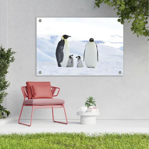 Keizer-Pinguins-met-baby-tuindoek-sfeer.jpg