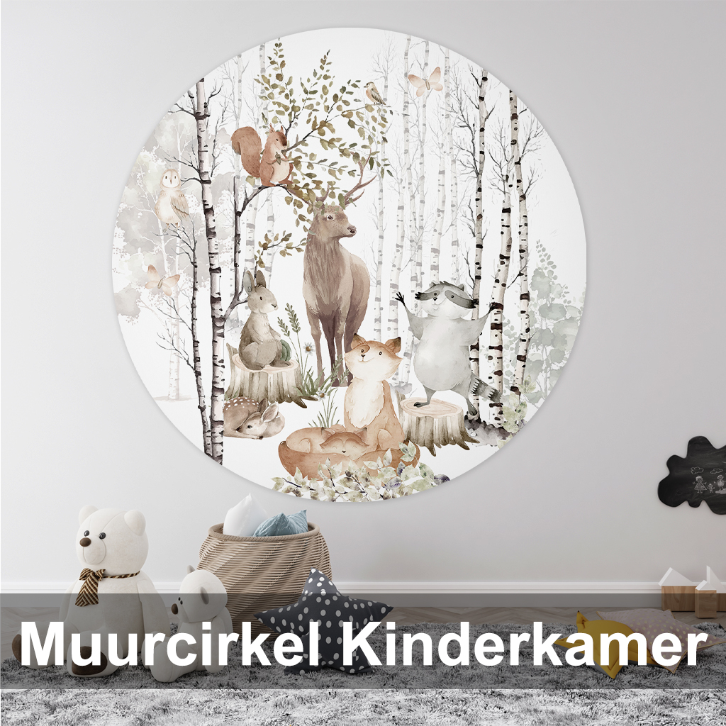 Muurcirkels kinderkamer