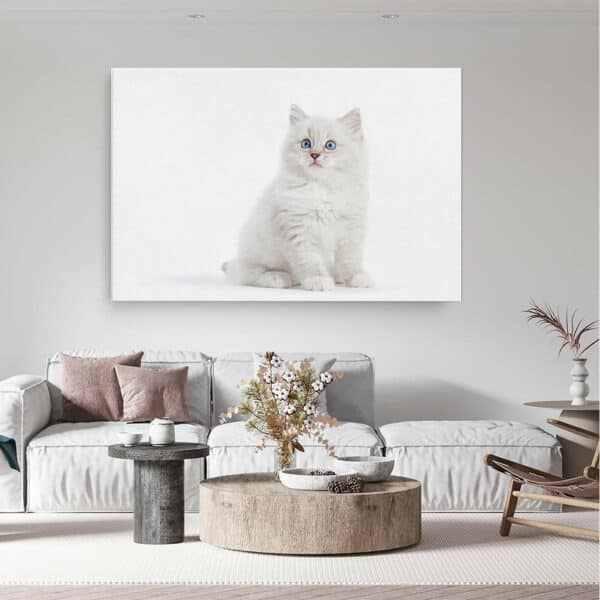 Kitten-met-blauwe-ogen-canvas-binnen-sfeer.jpg