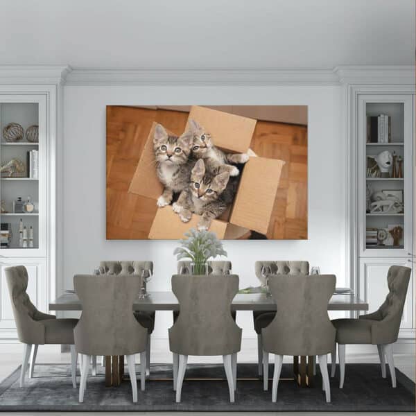 Kittens-in-doos-canvas-binnen-sfeer.jpg