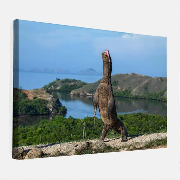 Komodo-Varaan-staand-canvas-binnen.jpg