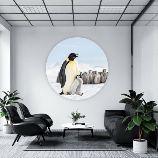 Konings-Pinguins-metbaby-muurcirkel-sfeer.jpg