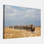 Kudde-olifanten-canvas-binnen.jpg