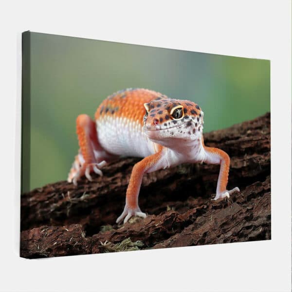 Luipaard-Gekko-canvas-binnen.jpg