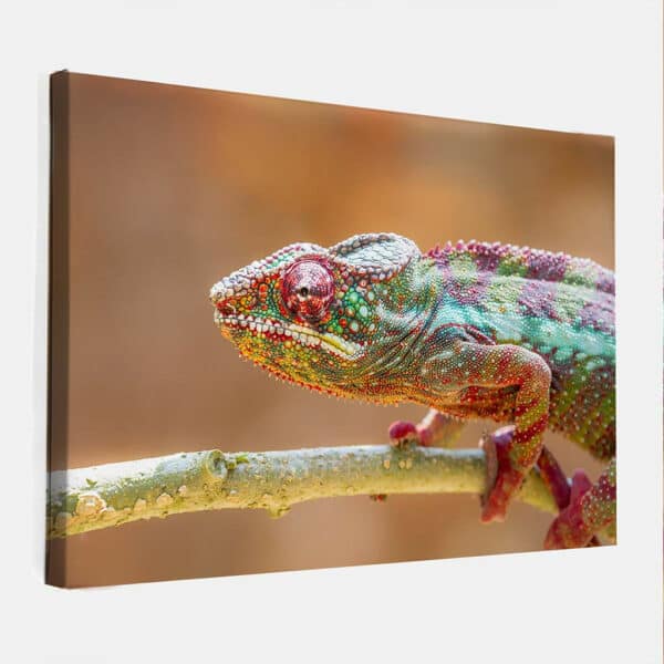 Luipaard-Kameleon-canvas-binnen.jpg