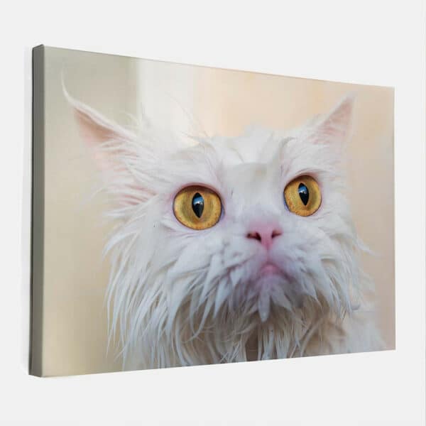 Natte-poes-canvas-binnen.jpg