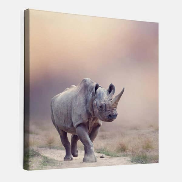 Neushoorn-vierkant-canvas-binnen.jpg