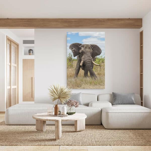 Olifant-canvas-binnen-sfeer.jpg