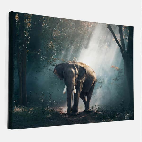 Olifant-in-zonlichtant-canvas-binnen.jpg