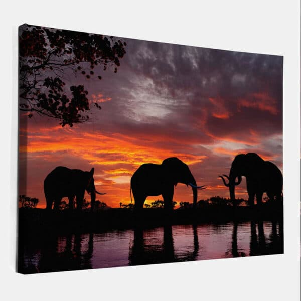 Olifanten-bij-zonsondergang-canvas-binnen.jpg