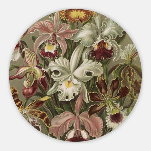 Orchidea-Ernst-Haeckel-muurcirkel.jpg