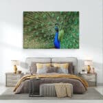 Pauw-canvas-binnen-sfeer.jpg