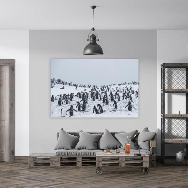 Pinguins-in-sneeuwstorm-wandpaneel-sfeer.jpg