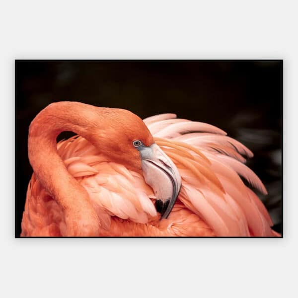 Poetsende-Flamingo-akoestisch-paneel.jpg