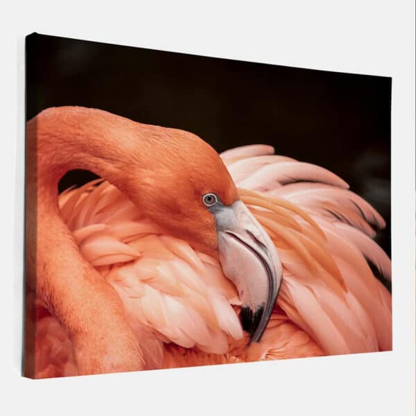 Poetsende-Flamingo-canvas.jpg