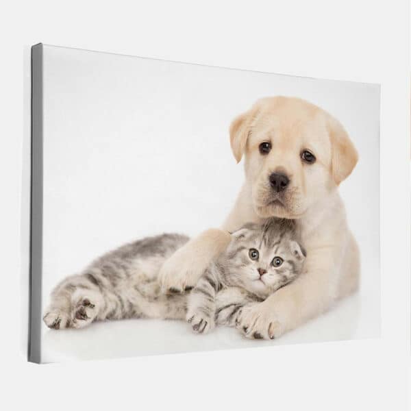 Puppy-met-kitten-2-canvas-binnen.jpg