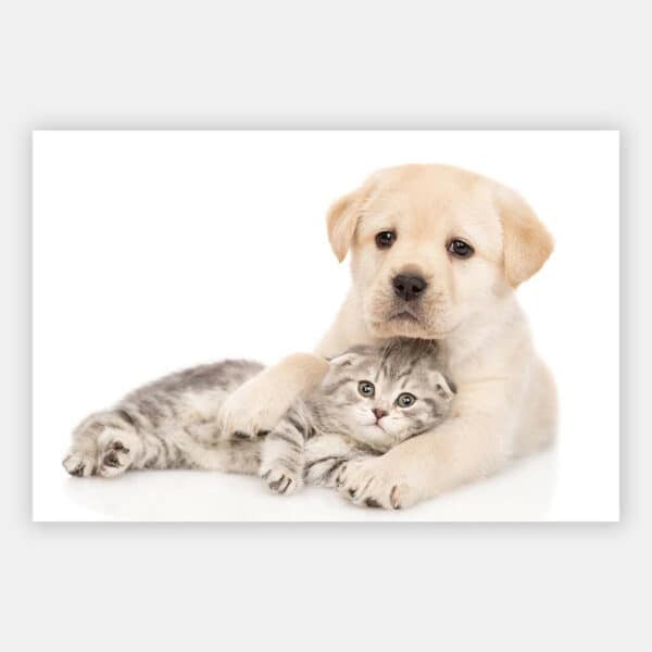 Puppy-met-kitten-2-wandpaneel.jpg