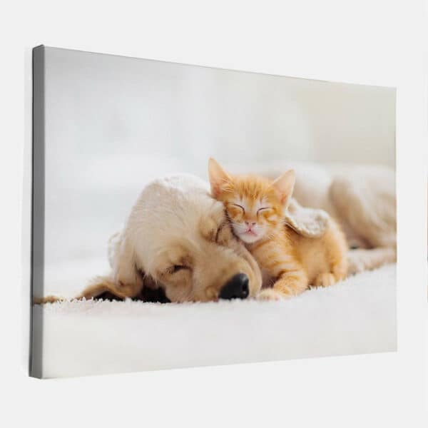 Puppy-met-kitten-canvas-binnen.jpg