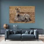 Rustende-Zebra-baby-wandpaneel-sfeer.jpg