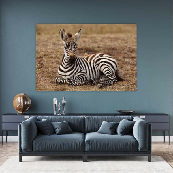 Rustende-Zebra-baby-wandpaneel-sfeer.jpg