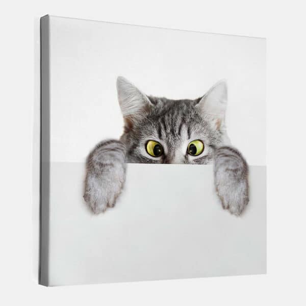 Schele-kitten-canvas-binnen.jpg