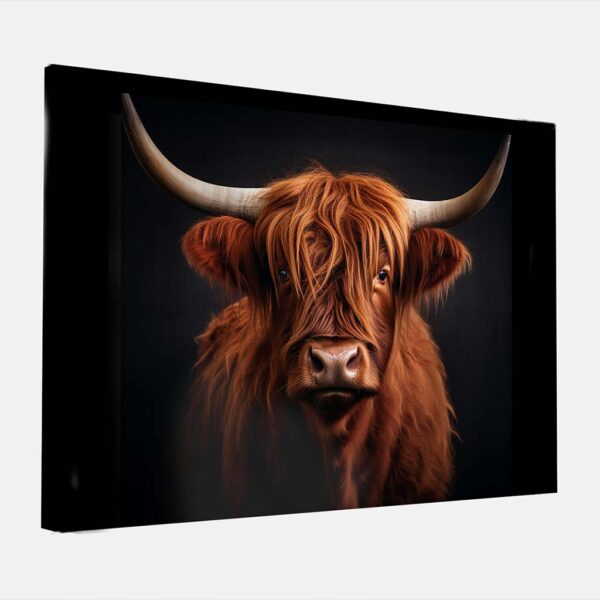 Canvas schilderij Schotse Hooglander roodbruin