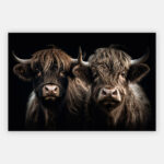 Schotse-hooglanders-artframe.jpg